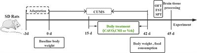 Cang-Ai Volatile Oil Ameliorates Depressive Behavior Induced by Chronic Stress Through IDO-Mediated Tryptophan Degradation Pathway